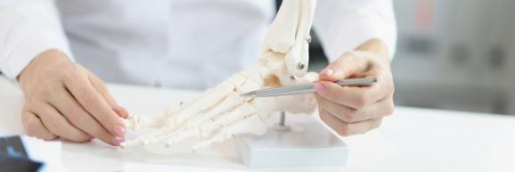 thérapie manuelle orthopédique